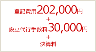 登記費用202,000円+設立代行手数料30,000円+決算料