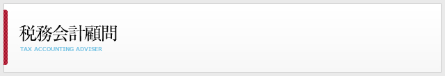 税務会計顧問